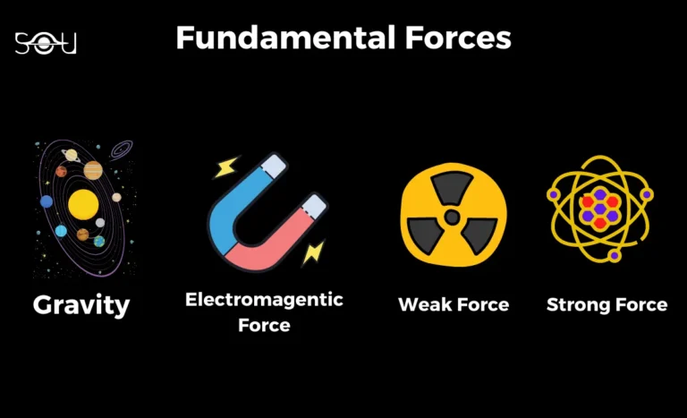 Fundamental Forces