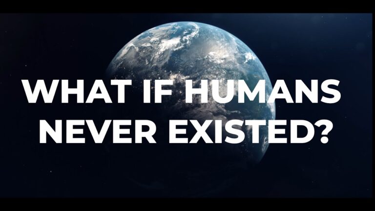 The Universe Without Human Civilization